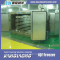 High Quality DSI Plate Freezer Made In China